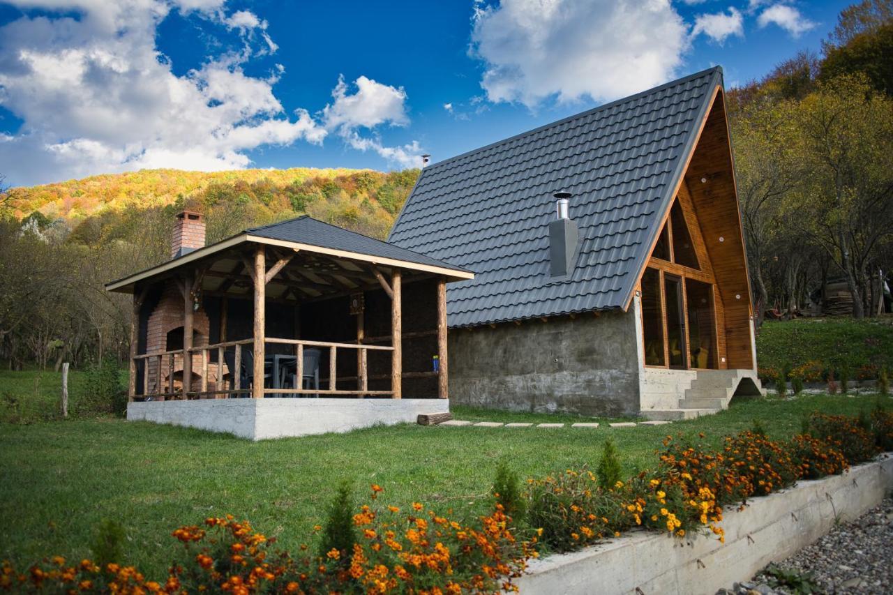Chalet Aframe Olanesti