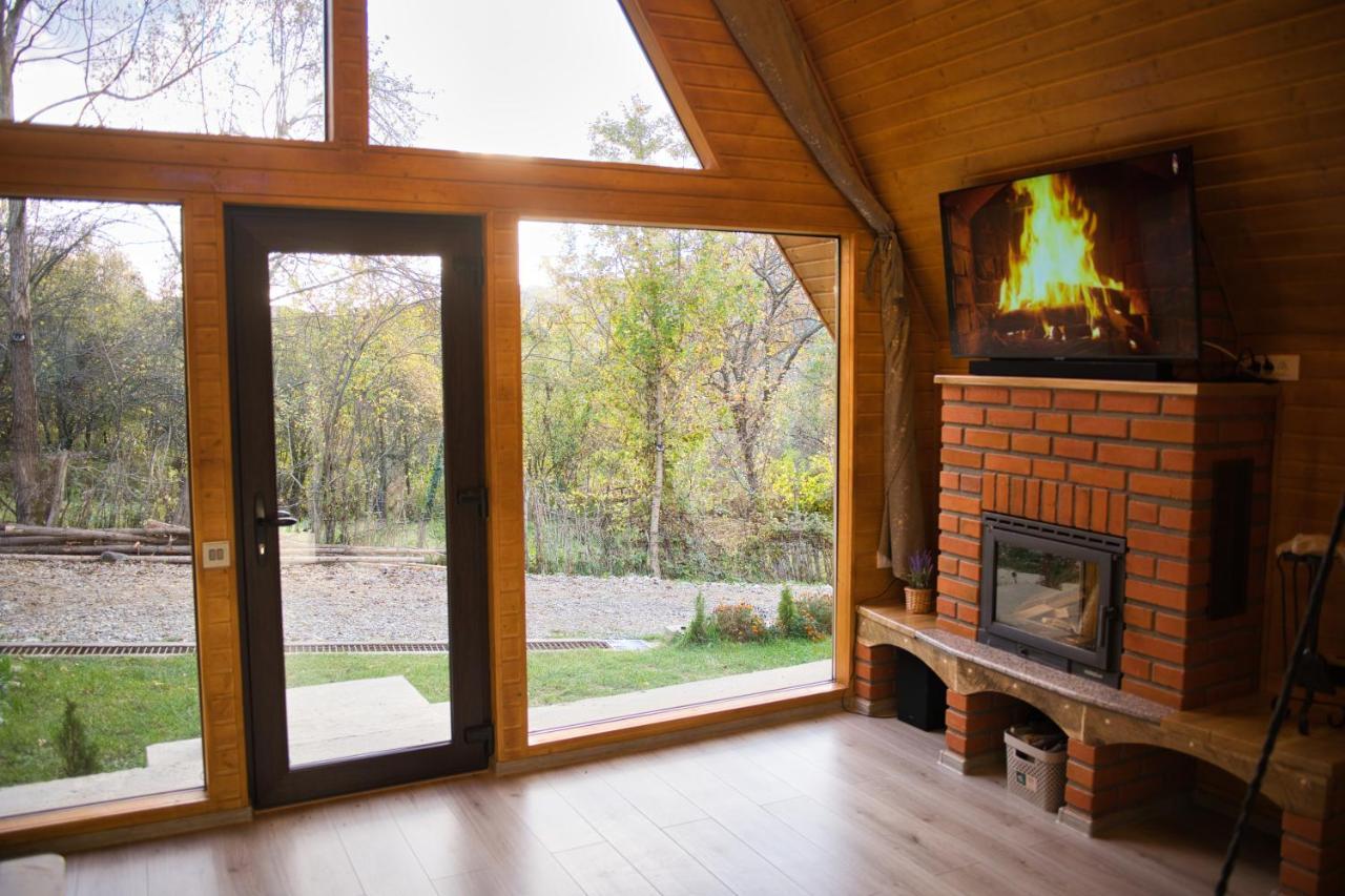 Chalet Aframe Olanesti *