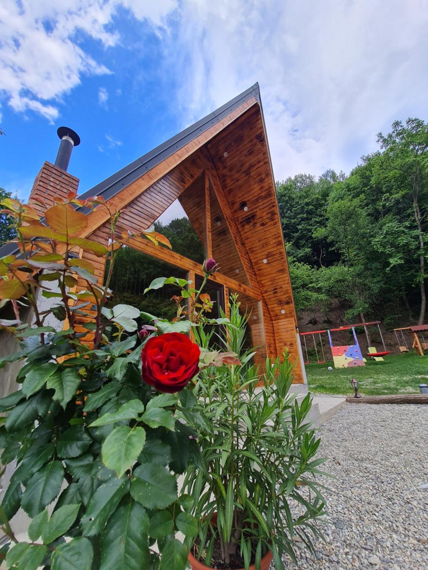 Aframe Olanesti Chalet *