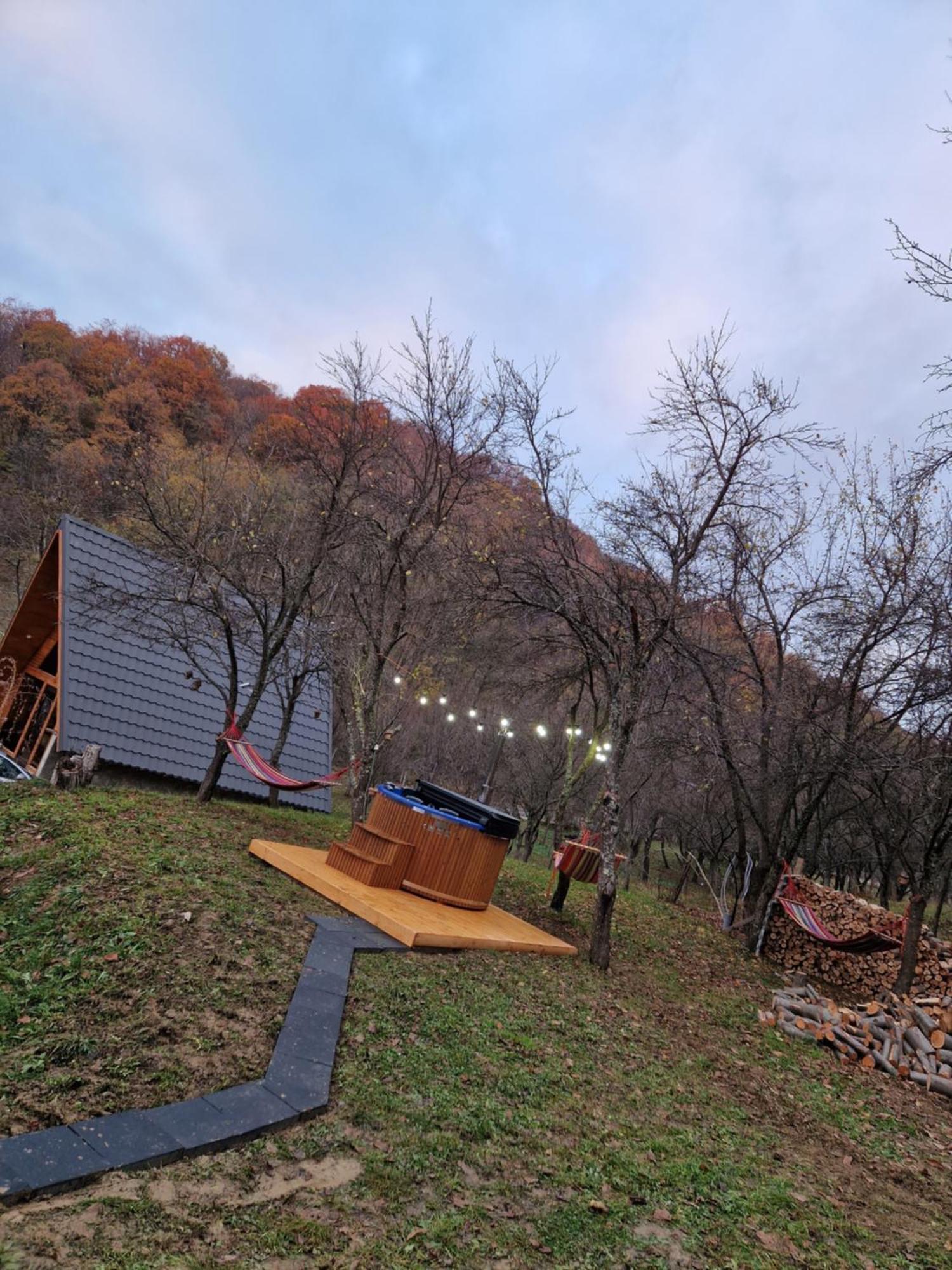 Aframe Olanesti Chalet