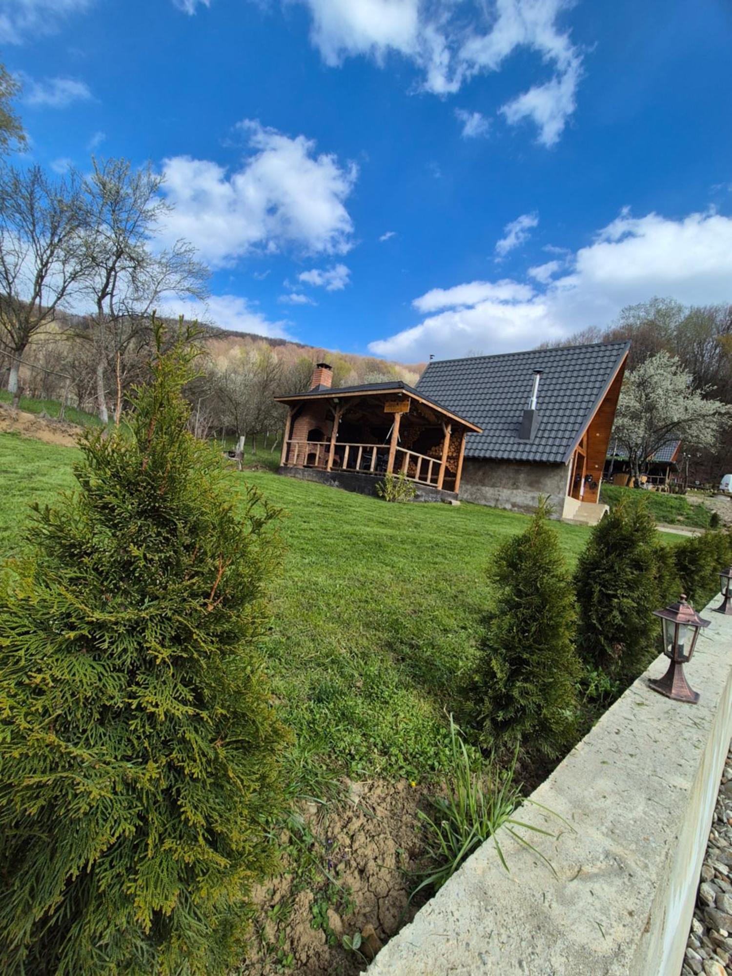 Chalet Aframe Olanesti