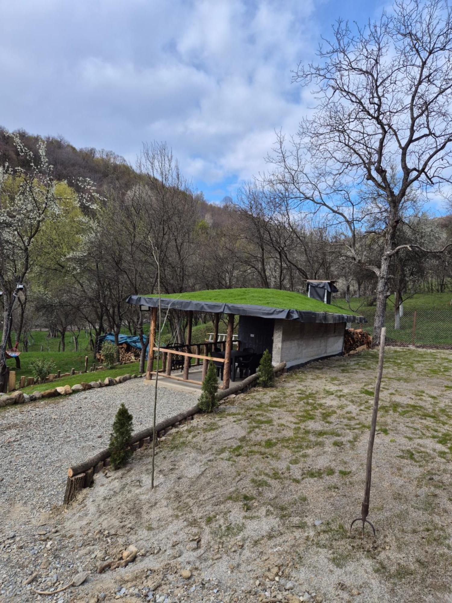 Chalet Aframe Olanesti
